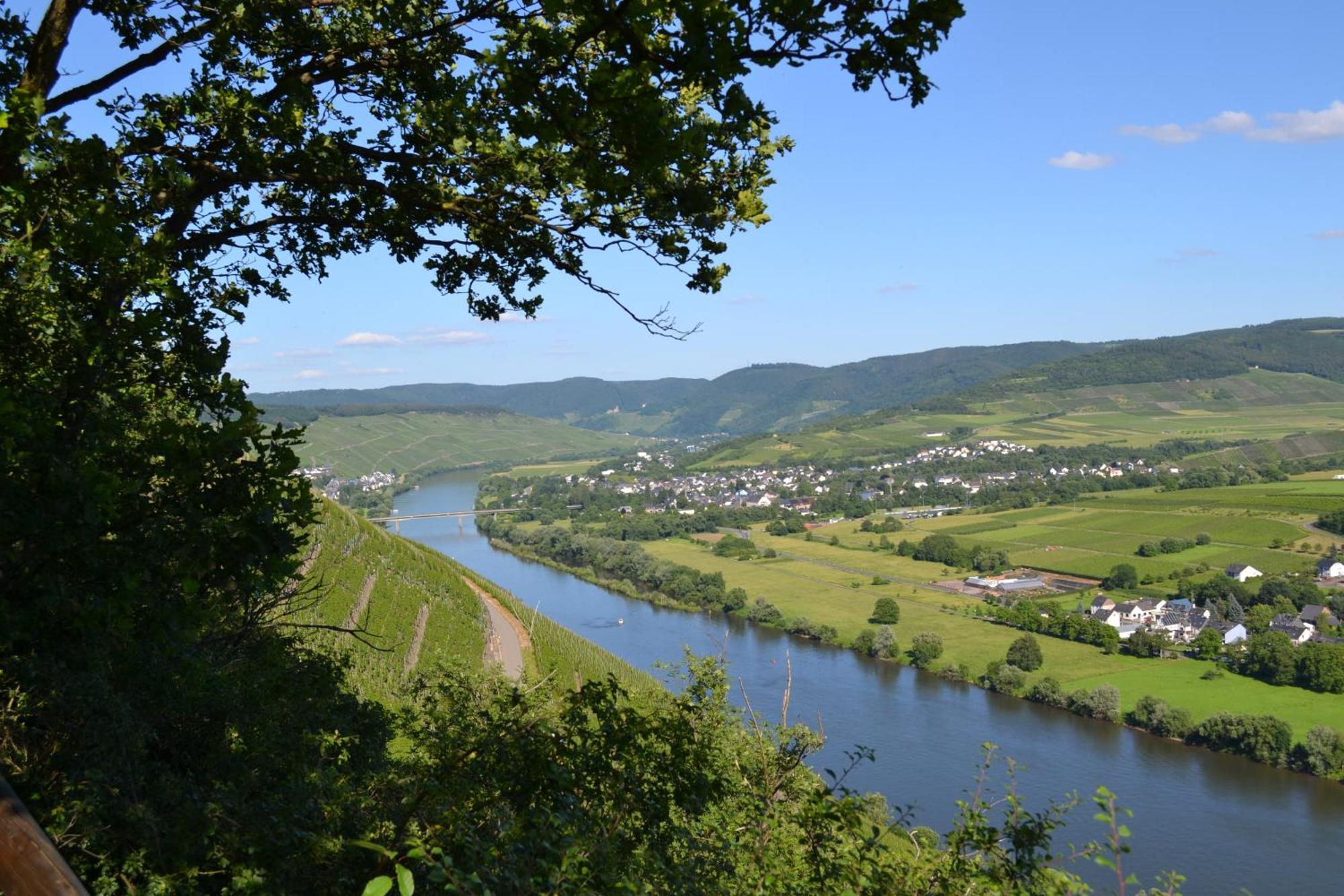 Weingut Mathy-Schanz Osann-Monzel エクステリア 写真