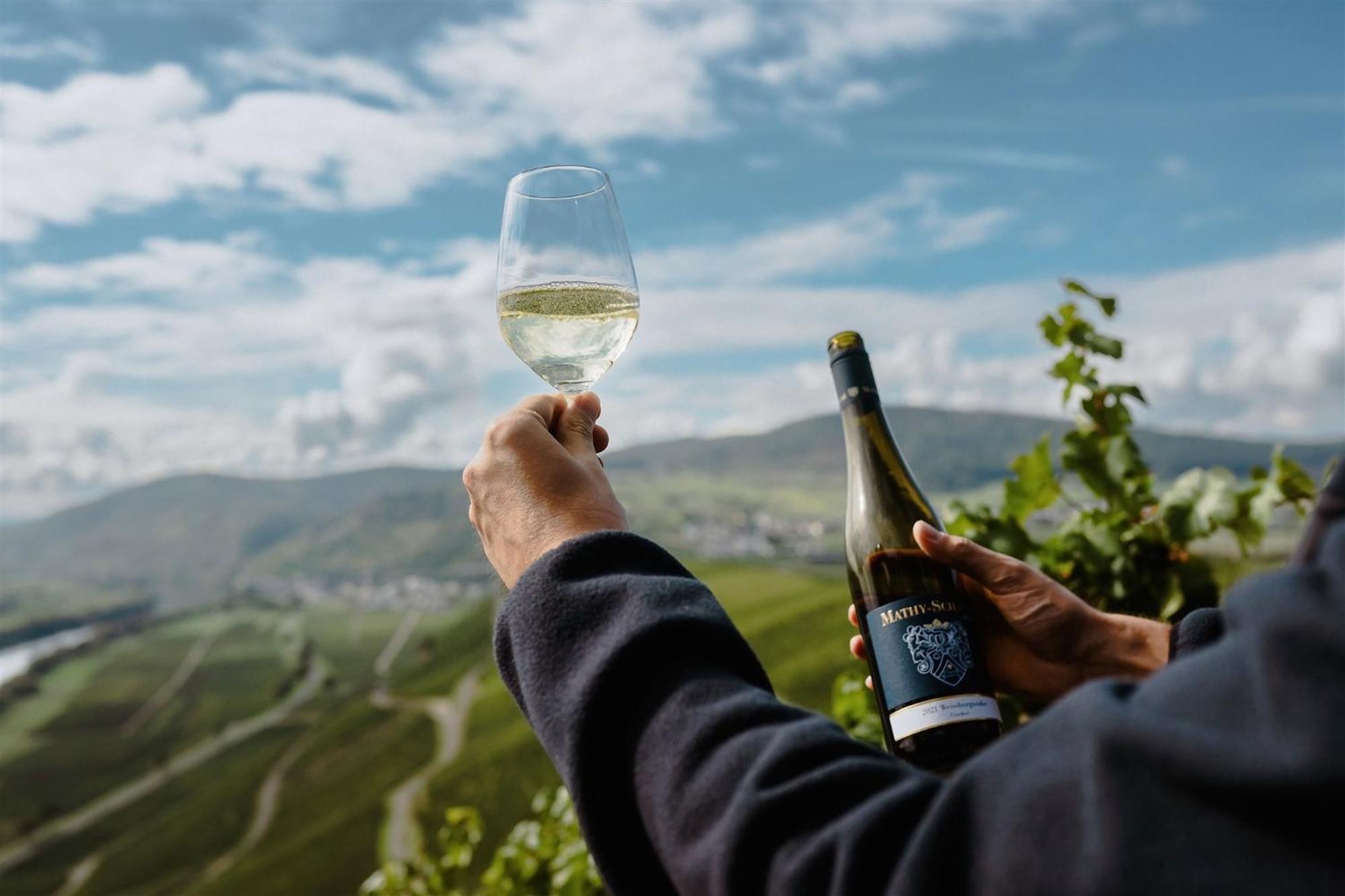 Weingut Mathy-Schanz Osann-Monzel エクステリア 写真