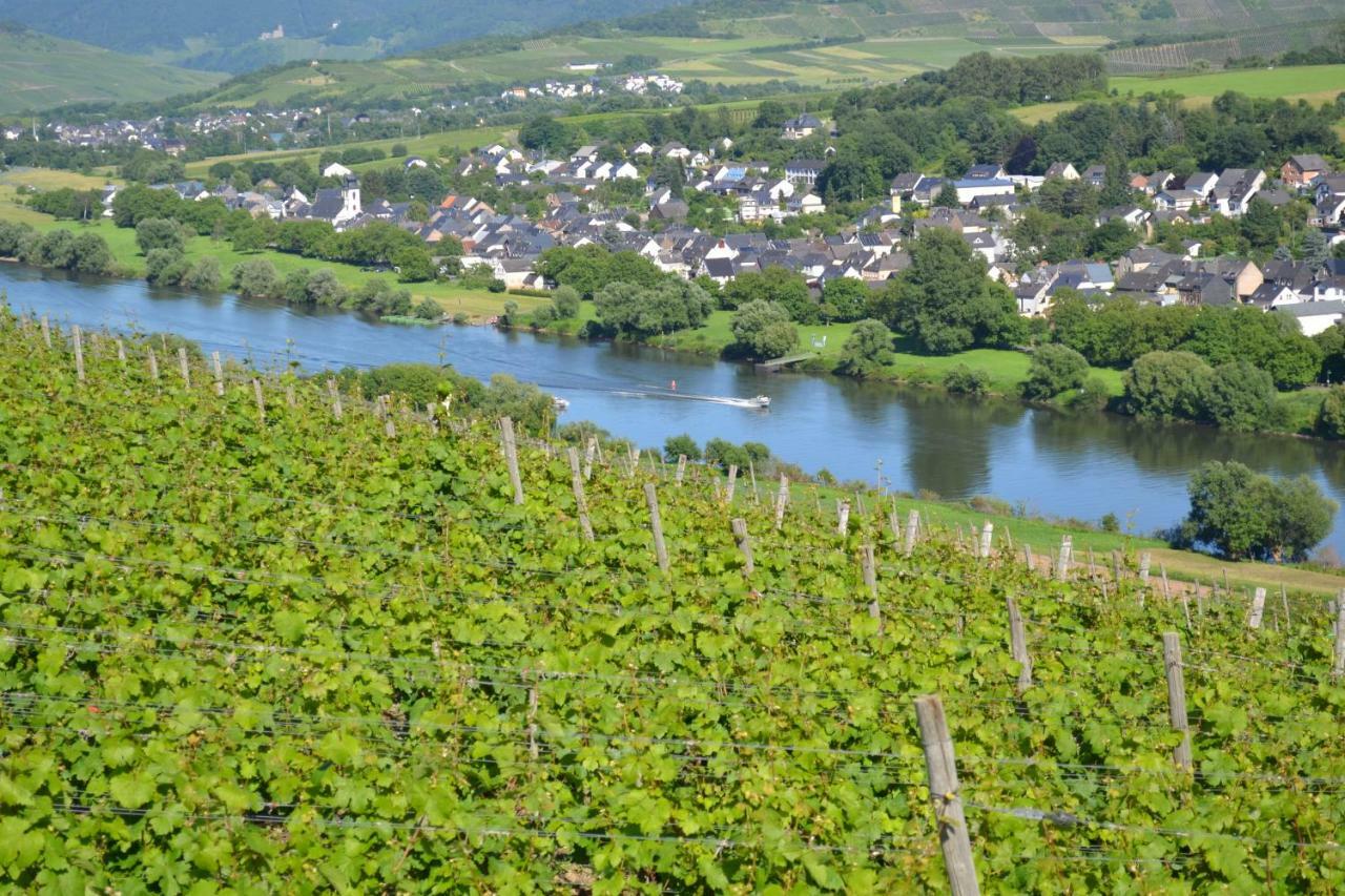 Weingut Mathy-Schanz Osann-Monzel エクステリア 写真